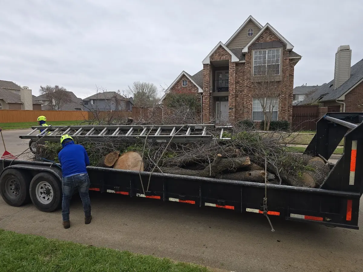 Expert Crown Reduction with proper safety equipment in Monticello